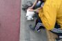 [서울=뉴시스] 705특공연대 2대대 소속 변윤섭 중사가 도로 위에서 사고를 당한 강아지에게 자신의 군복을 덮어준 모습.